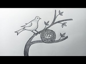 How to draw a beautiful bird || Easy bird nest drawing for beginner || Draw bird nest with eggs.