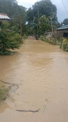TIGNAN: Lumilikas ang mga residente sa BRGY ALabug Tuao Cagayan Valley dahil patuloy ang pagtaas ng baha dulot ng Bagyong Uwan. 🎥Eliseo Garcia | Cagayan Valley Express News