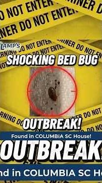 Shocking BED BUG Outbreak Found in Columbia SC House!