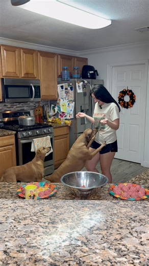 Meatball stew tonight! Roux paddle and bayou bootleggers seasoning can be found on our website: www.garconscajunshop.com | Garçon's Cajun Shop