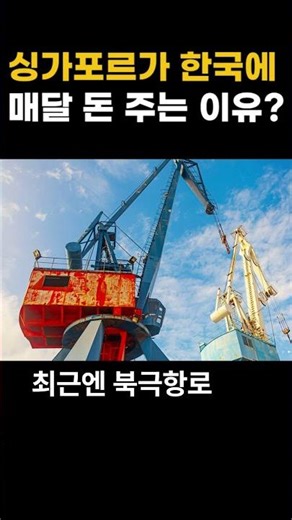 Singapore sends monthly rent to Korea. This stock is crazy. 💸 #TotalSoft