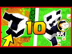 10 THINGS YOU DIDN'T KNOW ABOUT PANDAS IN MINECRAFT 1.14!