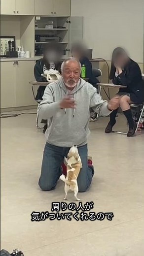 オープンキャンパスのしつけ・訓練体験の様子を少し公開❣️