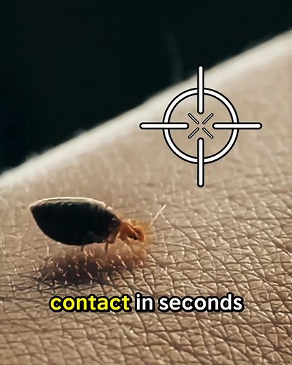 17 reactions · 8 comments | "I couldn't believe how quickly BugMD...