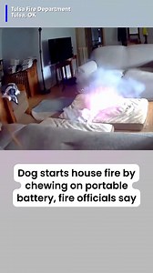 Scary! 😨 Video shows a dog starting a house fire by chewing on a portable battery in Oklahoma. Luckily, the dog who started the fire and his fellow pets, another dog and a cat, made it out safely through a dog door. Full story: https://bityl.co/RSU3 | WBTV News