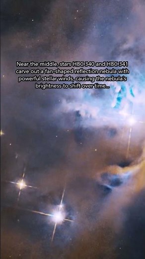 Star-Forming Region NGC 1333 ✨🤩 #astronomy