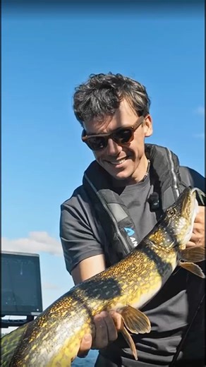 Тестируем систему Garmin Panoptix LiveScope на катере Jaktar J30