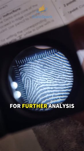 CurioSpark on Instagram: "How Forensic Experts Reveal Invisible Fingerprints🔍Crime Scene Secrets Ever wondered how investigators uncover fingerprints at a crime scene? Forensic experts use fine powders, delicate brushes, and precise movements to reveal hidden prints invisible to the naked eye. Each swirl, ridge, and tiny detail could be the key to solving a major case. This short video shows the real science behind fingerprint detection — a perfect blend of chemistry, physics, and patience. Tha