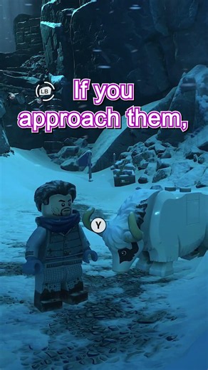 Pet The Yaks