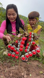 107K views · 2.4K reactions | Survival candy in forest #bushcraft #camping #Outdoors #ideas | Viral Mom Hacks | Facebook