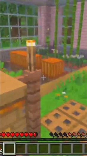 Geese Attack!! A clip from my VOD you can watch here on YouTube! #minecraft #goose #gooseattack #vod