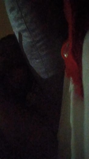 olive fbi (@larosefbi)’s videos with original sound - PCK