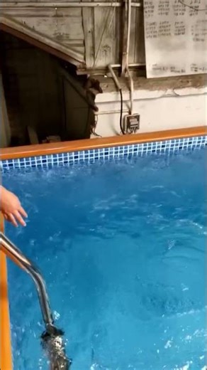 36 speed swim current machine generator #swimcurrentmachine