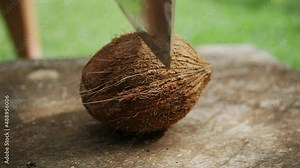 A hard coconut shell is difficult to cut in half with a sharp cleaver - slow motion isolated