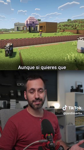 El muro que no tapa las vistas Minecraft - idea de arquitectura