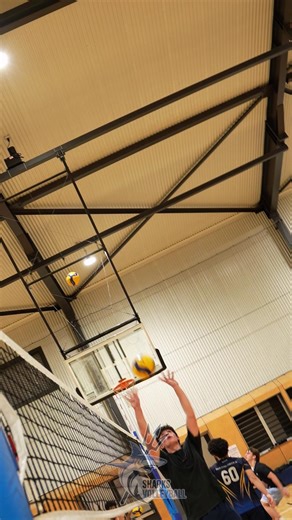 Volleyball Skills Training for All Ages