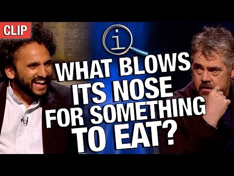 QI | What Blows Its Nose For Something To Eat?