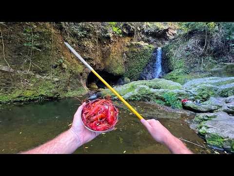 Giant Prawn Catch n' Cook in the Hawaii Mountains!