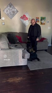 147K views · 1.1K reactions | Repeat Offender Arrested in Visalia...