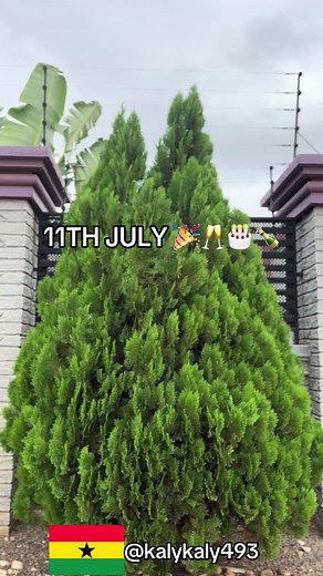 11th July Birthday Wishes for July Borns — Happy Birthday Kalykaly493