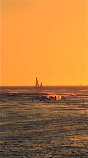 Sunset Surfing - Santa Cruz,CA