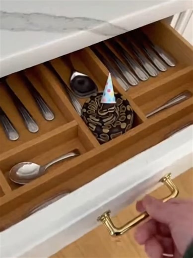 SNAKE, surprise Assistant Zone — AI and automation Short videos, video content for social media #humor #shorts #top #funny #ai #aivideo #aishorts