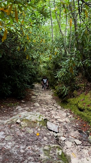 Marlana, the channels weren’t what we thought and Ik you weren’t having the best of times, but you kept pushing. We left the woods, pitch black alive. Thanks for all the adventures and here’s to one more hike before winter. Just one. | Trisha StClair