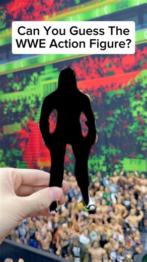 Can You Guess The WWE Action Figure? 🤔 #wwe #wwetoys #wwefigures #wrestling #wrestlingfigures