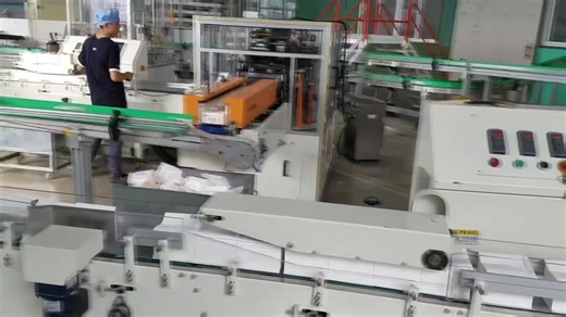 ZB300F 110bags/min Single Soft  Packaging Facial Tissue Machine