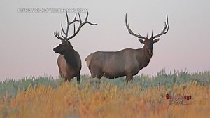 It’s hunting season in Utah, here’s what you need to know