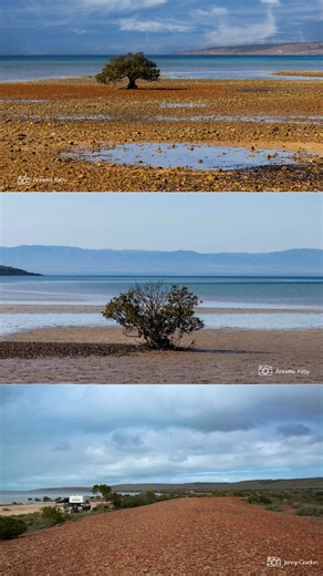 Discover the natural beauty of Fitzgerald Bay, Whyalla 🌊✨ Pristine waters, rugged coastline, and unforgettable views. A huge thank you to our talented local photographers for showcasing this incredible destination 📸 #Whyalla #WhyallaSA #EyrePeninsula #SouthAustralia #EyrePeninsula #SeeSouthAustralia #EPExploration #CoastalSA #SimplePleasures #SouthOZTravel | Visit Whyalla