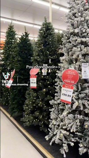 Everyone wants summer but I’m thinking about… 🎄🎅🏻 | WEEKLY SHORT #197 {#shorts #christmas #xmas}⁠