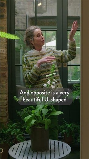 Butter's course is on sale!