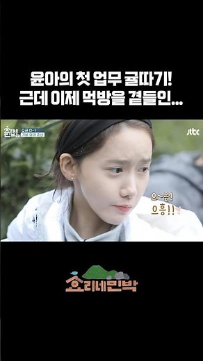 윤아의 첫 민박집 업무! 귤 따기!ㅣ효리네민박2 #이효리 #효리네민박 #이상순 #윤아 #예능하이라이트