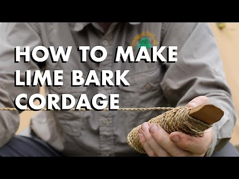 How to make lime bark cordage