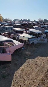 14K views · 309 reactions | Acres of history...You never see it all in one visit! Recycled auto parts from the 1930s to the 2000s. French Lake Auto Parts, Inc. ☎ 320-274-8497  3531 County Road 3 NW, Annandale, MN 55302 https://www.frenchlakeautoparts.com | French Lake Auto Parts, Inc | Facebook