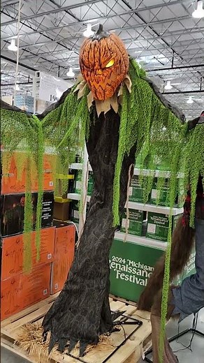 7ft Animated Pumpkin Scarecrow at Costco!