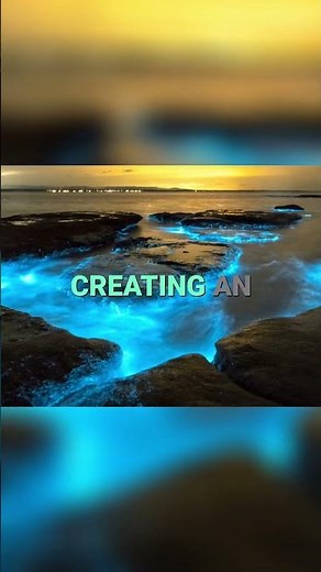 The Enchanting Glow of Jamaica's Luminous Lagoon. | Dreddphotos Travel