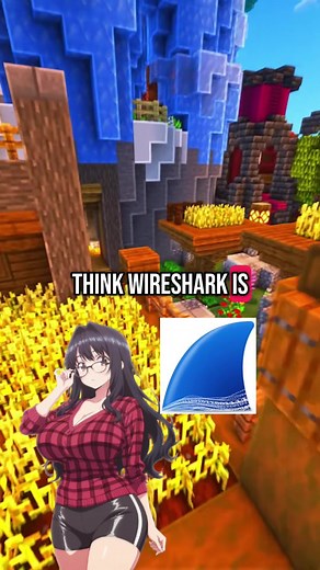 Beginner's Guide to Wireshark: Cybersecurity Insights