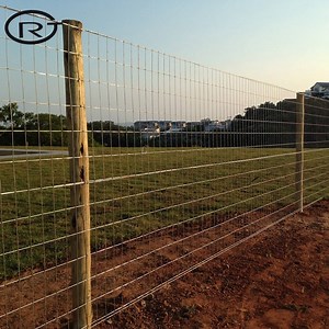 [Hot Item] Top 5 Amazing Benefits of Welded Mesh Fence That You Should Know