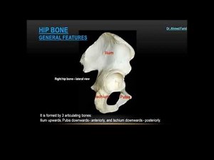 Ahmed Farid, Easy Practical Anatomy Series, DemoVideo