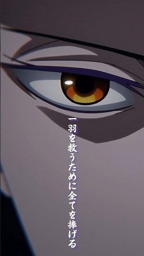 「私は全ての八咫烏の長。一羽を救うために全てを捧げる……それが私の喜びだ」／TVアニメ『烏は主を選ばない』第20話「黄金の烏」より