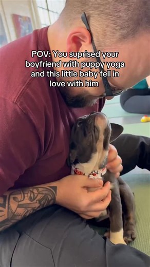 8.5K views · 69K reactions | Smiles, stretches, and endless puppy cuddles  - Link in bio to book﫶 #puppyyoga #dogsoftiktok #puppyvibes #furryfriends #cutedogs #weekendplans #feelgoodcontent #puppylife | Puppies & Yoga Charlotte | Facebook