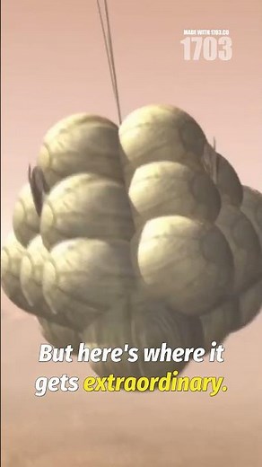 Sky Crane: NASA's Daring Mars Rover Landing