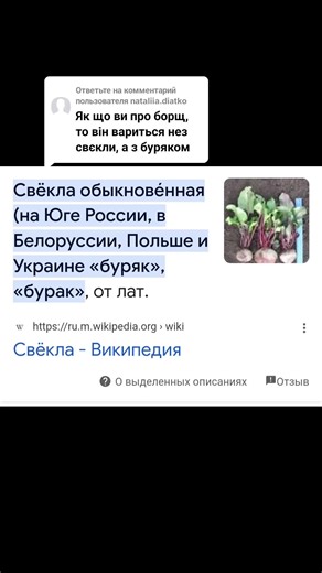 Exploring Beetroots: History and Benefits