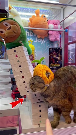 The claw machine surprised me again (part 67) #clawmachine #arcade #prize