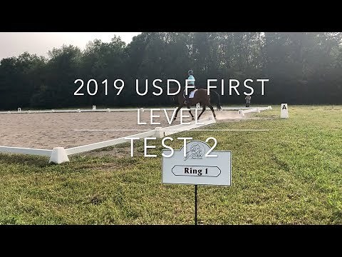 USDF First Level Test 2 with Scores & Judge Comments
