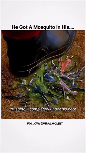 𝐕𝐈𝐑𝐀𝐋𝐌𝐎𝐌𝐍𝐓 📸 on Instagram: "Title: Evolution 👾🌍 Director: Ivan Reitman 🎬 Genre: Sci-Fi, Comedy, Action 🚀😂 Runtime: 101 minutes ⏱️ Language: English 🇺🇸 Release Date: June 8, 2001 📅 Cast: David Duchovny, Orlando Jones, Julianne Moore, Seann William Scott ⭐ Storyline: A meteor crashes in Arizona, unleashing rapidly evolving alien life forms. Two college professors, a firefighter cadet, and a government scientist must band together to stop a full-on alien takeover — using shampoo 