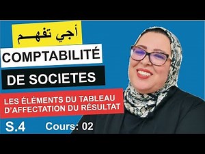 Company Accounting S.4: Elements of the Profit and Loss Allocation Table