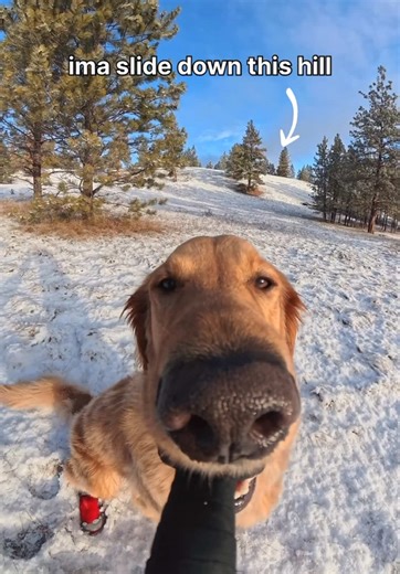 Exciting Launch of 3 New Boot Models!